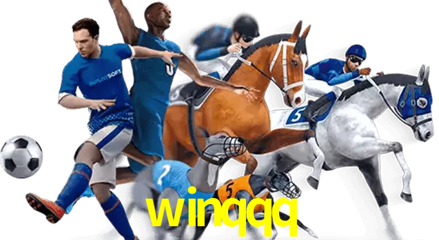 winqqq
