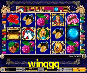VIP Casino winqqq